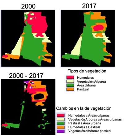 Mapas de vegetación y usos del suelo para el área analizada. Superior izquierda, periodo 2000; superior derecha, periodo 2017; inferior izquierda, zonas de transición 2000-2017. Figure 2: Vegetation maps and land uses for the analyzed area. Upper left, year 2000; upper right, year 2017; lower left, transition zones 2000-2017.