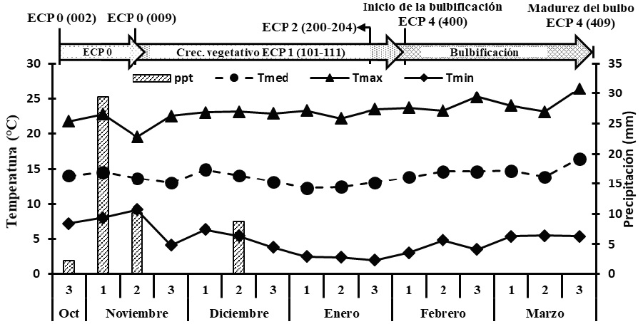 Media decenal de la temperatura (ºC) máxima (Tmáx), media (T media), mínima (Tmín), precipitación (suma decenal) y fenología con etapas principales de crecimiento (ECP), durante el ciclo de cultivo de ajo. Montecillo, Texcoco, Estado de México, México. Otoño-primavera 2016-2017.