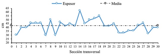 Espesor de la cresta en secciones transversales.