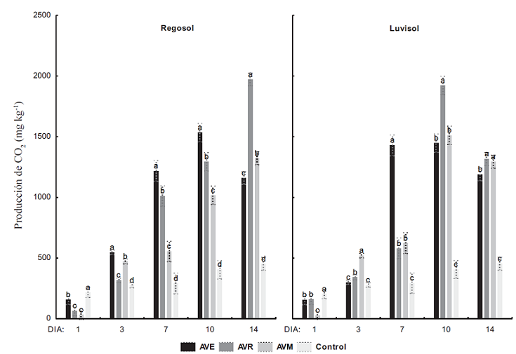Dinámica de la producción de CO2 en dos suelos:
Regosol y Luvisol; tratados con enmienda de AVE, AVR y AVM durante
14 días de incubación. Los valores son el promedio de tres
repeticiones por tratamiento y por día. Las letras diferentes
indican diferencia significativa (P ≤ 0.05) de los
promedios para cada día.
