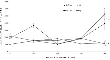 Dinámica de poblaciones de hongos filamentosos totales después de la primera aplicación de nutrición orgánica en árboles de limón mexicano bajo condiciones de invernadero. Fertilización orgánica (O), química (Q), CLas = inoculación con Candidatus Liberibacter asiaticus. Las barras en cada punto de muestreo indican ± error estándar. Letras distintas al final del experimento indican diferencias significativas, según la prueba de Tukey (P ≤ 0.05). Figure 3: Population dynamics of total filamentous fungi after the first application of organic nutrition in Mexican lime trees under greenhouse conditions. Organic fertilization (O), chemical (Q), CLas = inoculation with Candidatus Liberibacter asiaticus. Bars in each sampling point indicate ± standard error. Different letters at the end of the experiment indicate significant differences, according to the Tukey’s test (P ≤ 0.05).