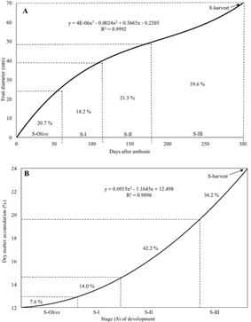 Increase in diameter (A) and mesocarp dry matter accumulation (B) of &lsquo;M&eacute;ndez&rsquo; avocado fruit.