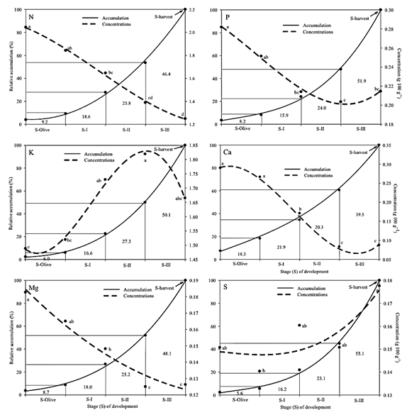 Concentration and relative accumulation of macronutrients in the mesocarp of &lsquo;M&eacute;ndez&rsquo; avocado fruit. Each data point is the average of three production cycles. Means with the same letter are not significantly different (Tukey, P &le; 0.05).