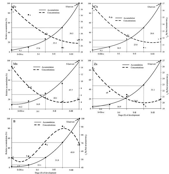 Concentration and relative accumulation of micronutrients in the mesocarp of &lsquo;M&eacute;ndez&rsquo; avocado fruit. Each data point is the average of three production cycles. Means with the same letter are not significantly different (Tukey, P &le; 0.05).