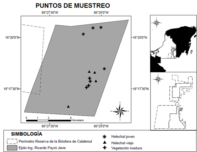 Localizaci&oacute;n de las parcelas para la evaluaci&oacute;n qu&iacute;mica y
								biol&oacute;gica del suelo en el ejido Ing. Ricardo Payr&oacute; Jene, zona de
								influencia de la reserva de la biosfera de
								Calakmul.