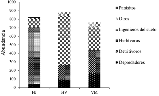 Abundancias de los gremios de la macrofauna del suelo por condici&oacute;n (1600
										m2): helechales j&oacute;venes (HJ), viejos (HV) y
									vegetaci&oacute;n madura (VM), ubicadas en el ejido Ricardo Payr&oacute; Jene.
									