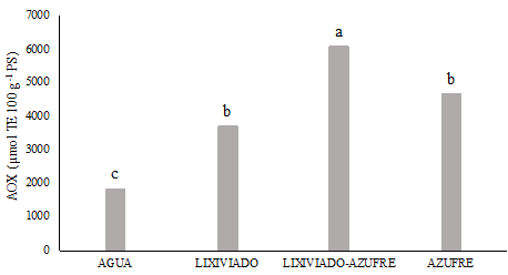 Actividad antioxidante presente en tratamientos de brotes de ma&iacute;z.