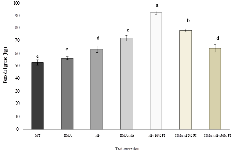 Peso del grano (kg) en plantas de ma&iacute;z (Zea mays) a los 90 DDS. 