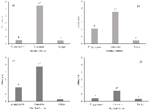 Altura de plantas de café de variedad a) Garnica, b) Catimor, c) Caturra y d) Catuaí, inoculadas con dos inóculos micorrízicos Rhizophagus aggregatus y el consorcio, respecto a las plantas testigo, a 335 dds.