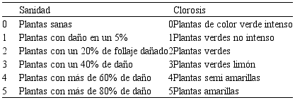Escala subjetiva para la evaluación de la sanidad y vigor de la plántula de café (adaptación de una escala propuesta por Rivera, 1990).