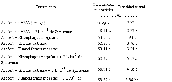 Indicadores f&uacute;ngicos de bioproductos en ra&iacute;ces de Phaseolus vulgaris L. var. Delicia 364. Guant&aacute;namo, Cuba.
