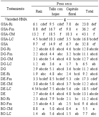 Acumulaci&oacute;n de biomasa seca de variedades de girasol ornamental inoculadas con hongos micorr&iacute;zicos arbusculares (HMA) a los 70 d&iacute;as despu&eacute;s del trasplante (&eacute;poca de lluvias 2017, Zapopan Jalisco).