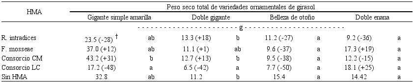 Comportamiento del peso seco en cada variedad ornamental de girasol seg&uacute;n el in&oacute;culo del hongo micorr&iacute;zico arbuscular (HMA) inoculado a los 70 d&iacute;as despu&eacute;s del trasplante en maceta a cielo abierto (&eacute;poca de lluvias, 2017; Zapopan, Jalisco).