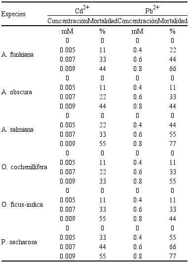 Efectos de cadmio (Cd) y plomo (Pb) sobre las plantas establecidas in vitro de las zonas áridas de México