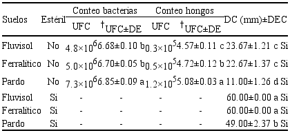 Poblaciones microbianas nativas, crecimiento micelial y presencia de clamidosporas de P. chlamydosporia var. catenulata en tres tipos de suelo