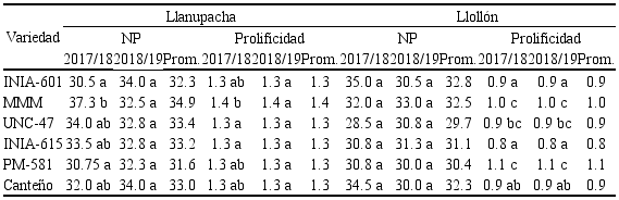 Valores de n&uacute;mero de planta y prolificidad realizados en las diferentes variedades del ma&iacute;z morado en Lloll&oacute;n y en Llanupacha