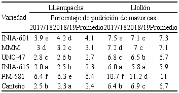 Valores del porcentaje de pudrici&oacute;n de mazorcas en las variedades del ma&iacute;z morado en los dos niveles altitudinales en el 2017/18 y 2018/19