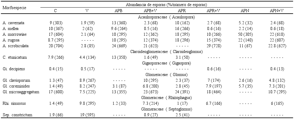 Géneros y especies de HMA identificados en el suelo rizosférico de
Cucurbita pepo L. cultivada en verano-otoño