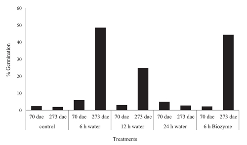 Seeds germination of 
							S. zopilotensis through the interaction of dormancy breaking treatments and storage at 14 days after treatments application
						