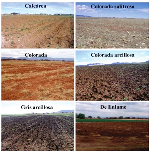 Paisajes de algunas clases de tierra del ejido Santa Mar&iacute;a de Guadalupe, Durango, M&eacute;xico