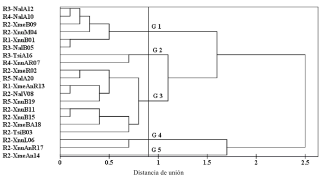 Análisis de agrupamiento jerárquico en el contenido mineral en 20 genotipos de maíces criollos cultivados en cinco regiones de Yucatán, México