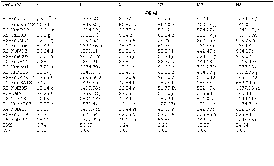 Comparación del contenido de macroelementos en semillas de maíces criollos cultivados en cinco regiones de Yucatán, México.Comparison of macronutrient content in maize landraces grown in five regions of Yucatan, Mexico