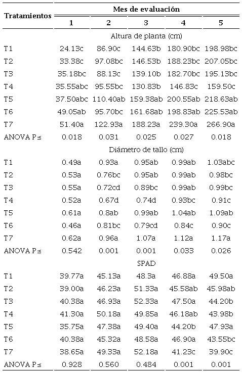 Efecto de la fertilizaci&oacute;n org&aacute;nica e inorg&aacute;nica en altura de planta, di&aacute;metro de tallo y fluorescencia relativa de clorofila (&iacute;ndice SPAD) en tomate uva bajo subirrigaci&oacute;n no recirculante
