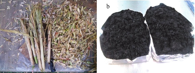 a) Biomasa de &aacute;pices de ca&ntilde;a de az&uacute;car. b) Biocarb&oacute;n de ca&ntilde;a de az&uacute;car elaborado mediante carbonizaci&oacute;n hidrot&eacute;rmica