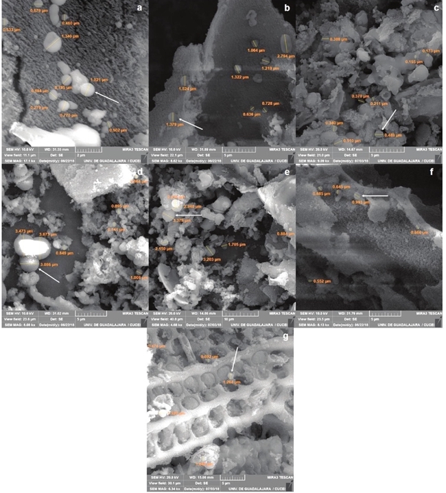Microesferas en el biocarb&oacute;n de &aacute;pices de ca&ntilde;a de az&uacute;car con tres catalizadores. a) testigo (sin catalizador), b) &aacute;cido c&iacute;trico al 5%, c) &aacute;cido c&iacute;trico al 10%, d) &aacute;cido maleico al 5%, e) &aacute;cido maleico al 10%, f) &aacute;cido propi&oacute;nico al 5% y g) &aacute;cido propi&oacute;nico al 10%. Las fechas se&ntilde;alan la presencia de microesferas de carb&oacute;n en cada micrograf&iacute;a