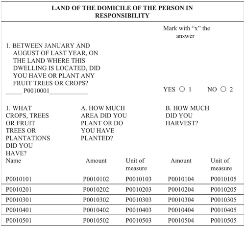 Reagent to know if you have backyard surface area. Source: INEGI (2004).