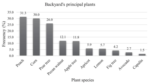 Plant species that are grown at tlaxcalteca backyard (%).