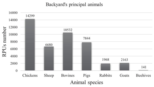 Animal species that are grown at tlaxcalteca backyard.