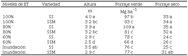 Altura, forraje verde y seco para dos variedades de sorgo y diferentes niveles de evapotranspiraci&oacute;n (ET) e inundaci&oacute;n. Medias con letras distintas son estad&iacute;sticamente diferentes (P &le; 0.05). Fuente: elaborado con la informaci&oacute;n generada en esta investigaci&oacute;n. 