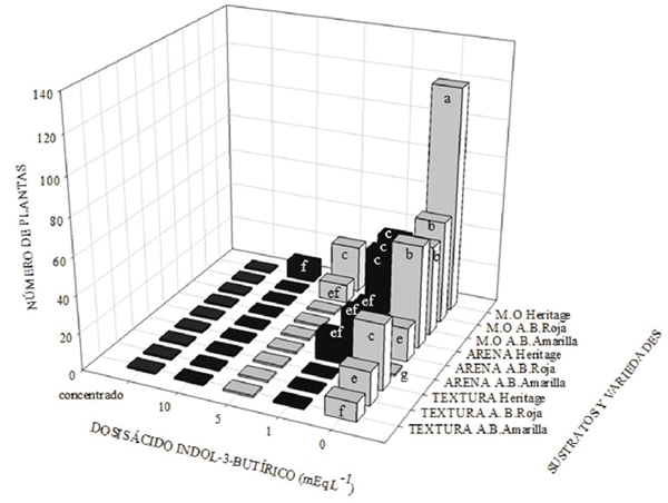 Porcentaje de sobrevivencia de plantas trasplantadas (a&ntilde;o 2017) con diferentes sustratos y tratamientos de IBA en tres variedades de frambuesa. Los resultados se representan en medias. Diferentes letras entre sustratos, variedades y dosis indican diferencia estad&iacute;stica (P &le; 0.05). Barras sin letras indican no diferencia significativa (P &le; 0.05). M.O = materia org&aacute;nica; Textura = textura franco arcillosa; A.B.Roja = Autumn Bliss Roja; A.B.Amarilla = Autumn Bliss Amarilla.