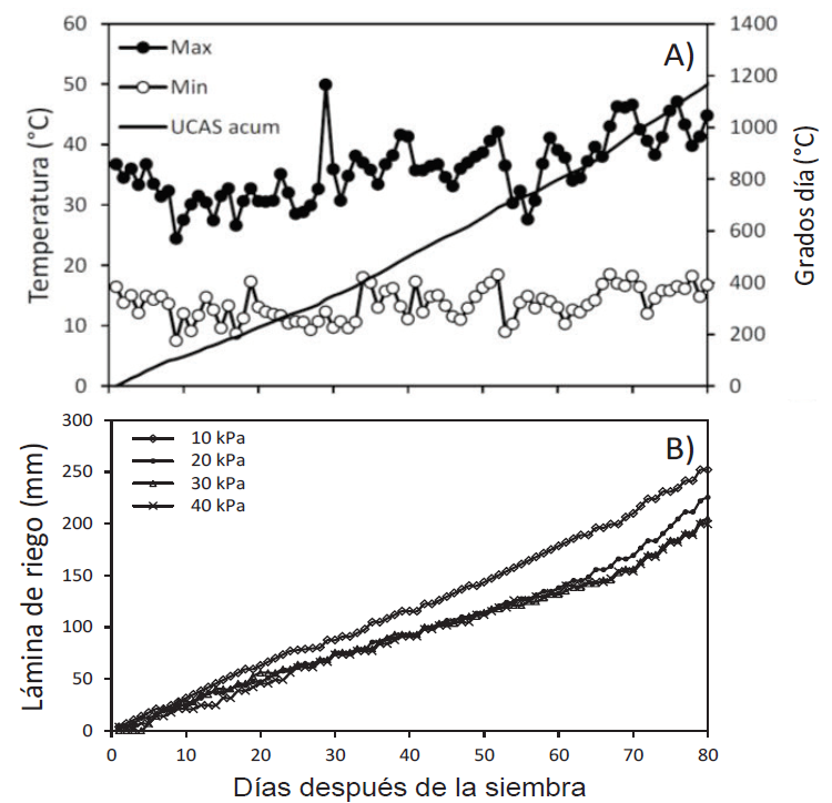 Temperaturas y grados día acumulados (A), y lámina de riego acumulada (B) durante el experimento para estimar el efecto de tensiones de humedad y genotipos, sobre el crecimiento y rendimiento de maíz en el Valle de Mexicali, B. C., México, en el ciclo primavera-verano de 2017.