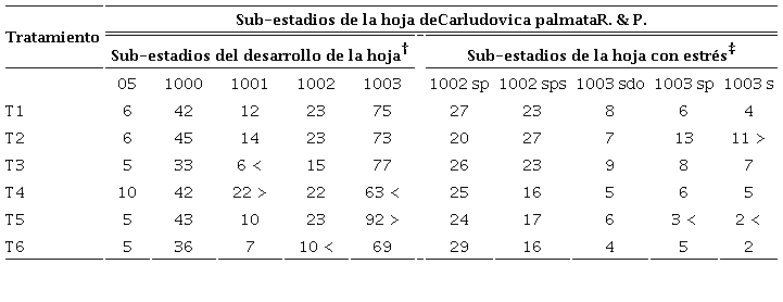 Efecto de dosis de vermicomposta en los sub-estadios de la hoja de C. palmata R. & P.