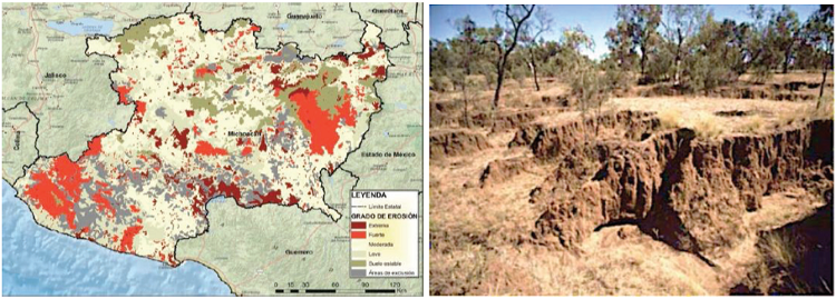 Mapa de distribución de los suelos degradados en el Estado de Michoacán. La fotografía corresponde a un suelo del estado de Veracruz fuertemente degradado, por manejo inadecuado.