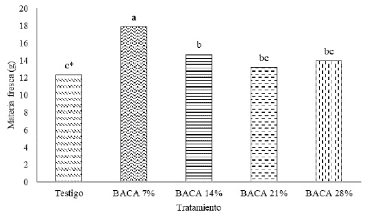 Peso de materia fresca de albahaca tailandesa cultivada en mezclas de biocarb&oacute;n de &aacute;pices de ca&ntilde;a de az&uacute;car (BACA) a los 33 d&iacute;as despu&eacute;s del trasplante. *Indica diferencias significativas, seg&uacute;n la prueba de Tukey (P &le; 0.05). 