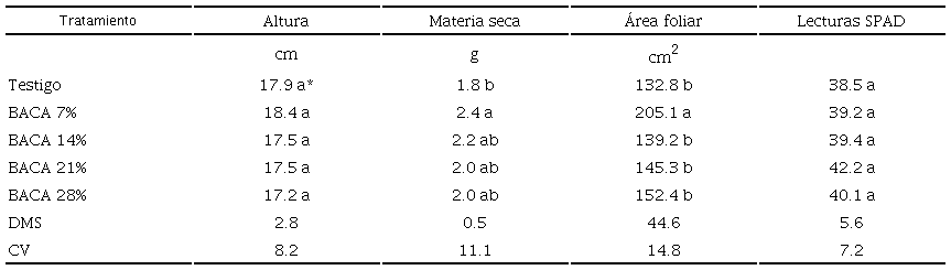 Altura, materia seca, &aacute;rea foliar y lecturas SPAD de albahaca tailandesa cultivadas en mezclas de biocarb&oacute;n de &aacute;pices de ca&ntilde;a de az&uacute;car (BACA) a los 33 d&iacute;as despu&eacute;s del trasplante. 