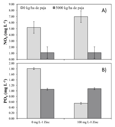 Interacci&oacute;n de la inoculaci&oacute;n de zinc a la semilla y la incorporaci&oacute;n de paja al suelo (Zn &times; IP) con en la concentraci&oacute;n de nitratos (A) y fosfatos (B) en el suelo en el cultivo de trigo. 