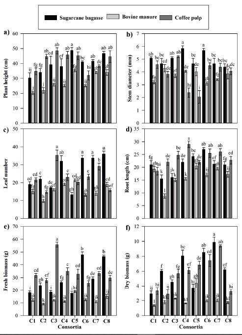 Interaction substrate*consortium effect (a) plant height; (b) stem diameter; (c) leaf number; (d) root length; (e) fresh biomass; and (f) dry biomass. C1-ART; C2-GEC; C3-PAR; C4‑VIE; C5-CUC; C6-SAC; C7-SAB; C8-MUZ. Data (averages &plusmn; standard deviation, n = 4) with different letters above the bars indicate significant different among interactions (Tukey&rsquo;s test, P < 0.001).