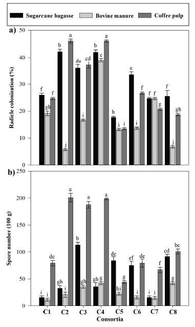 (a) Radicle colonization and (b) spore number in 100 g of Pinto bean plant sample. C1-ART; C2-GEC; C3-PAR; C4‑VIE; C5-CUC; C6-SAC; C7-SAB; C8-MUZ. Data (averages &plusmn; standard deviation, n = 4) with different letters above the bars indicate significant different among treatments (Tukey&rsquo;s test, P < 0.001).
