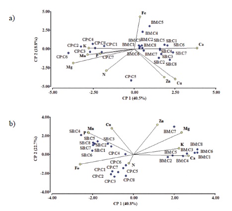 Principal component analysis substrate*consortium (a) mineral content in bean leaves and (b) mineral content in bean root.