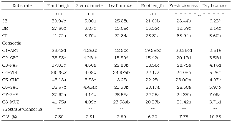 Comparing agronomic variable averages of the different substrates and consortia in Pinto bean plants.