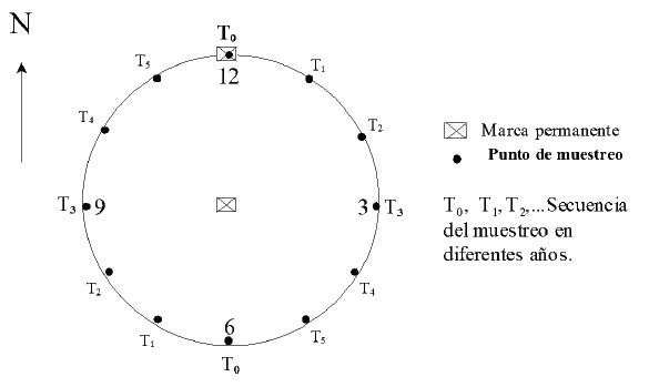 Punto de medición definido por un reloj indicando los tiempos de medición.