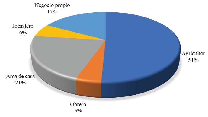 Principal actividad del jefe de la unidad de producci&oacute;n. Fuente: elaboraci&oacute;n propia a partir de informaci&oacute;n recopilada durante trabajo de campo. 