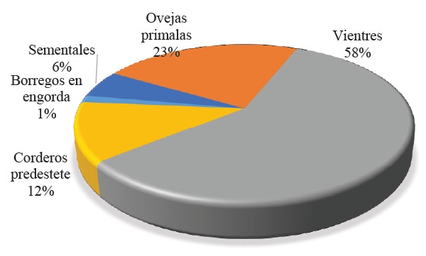 Composici&oacute;n del reba&ntilde;o. Fuente: elaboraci&oacute;n propia a partir de los resultados obtenidos. 
