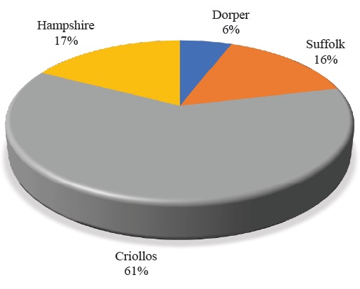 Razas de ovinos utilizadas. Fuente: elaboraci&oacute;n propia a partir de los resultados obtenidos. 