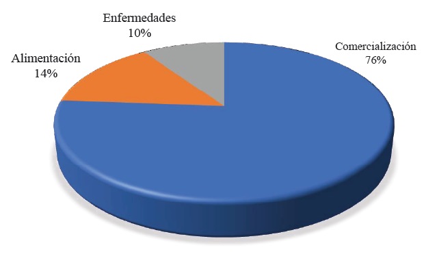 Principal problema en la producci&oacute;n de ovinos. Fuente: elaboraci&oacute;n propia a partir de los resultados obtenidos. 