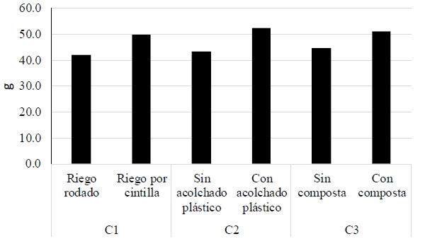 Producción de la biomasa en peso seco de parte comestible de lechugas por contraste ortogonal.